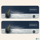 Ventilador elétrico duplo para carro