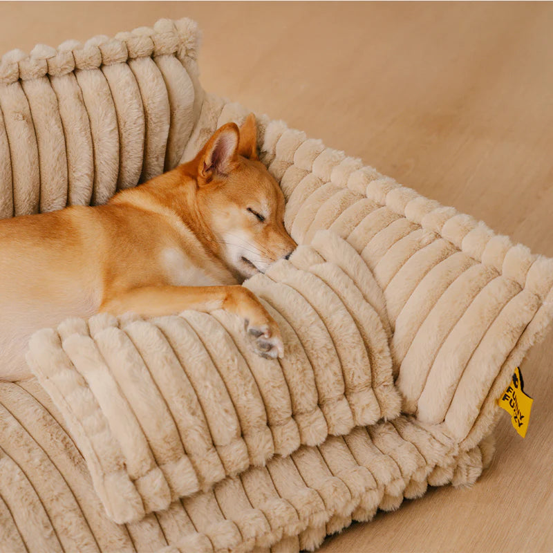 Cama Sofá Pet Ortopédica + ALMOFADA E  ESCADINHA BRINDE
