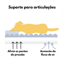 Cama Sofá Pet Ortopédica + ALMOFADA E  ESCADINHA BRINDE